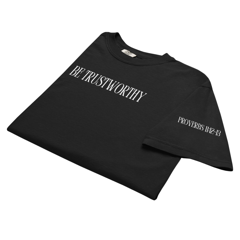 Proverbs 11:12-13 - T-Shirt