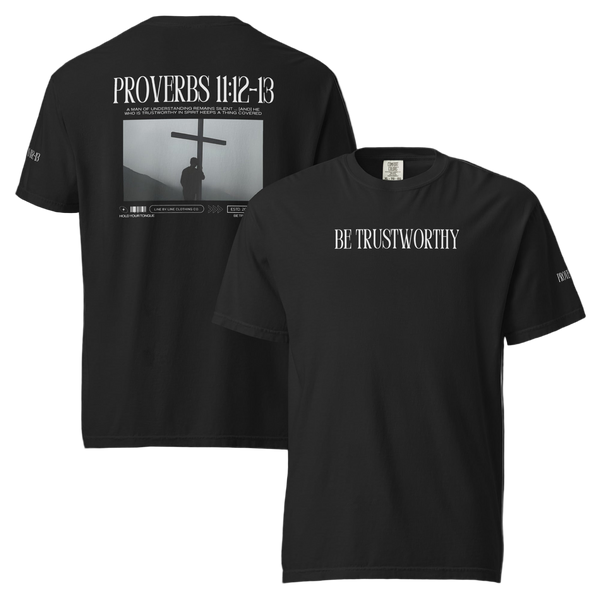 Proverbs 11:12-13 - T-Shirt