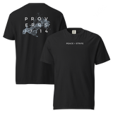 Proverbs 17:14 - T-Shirt