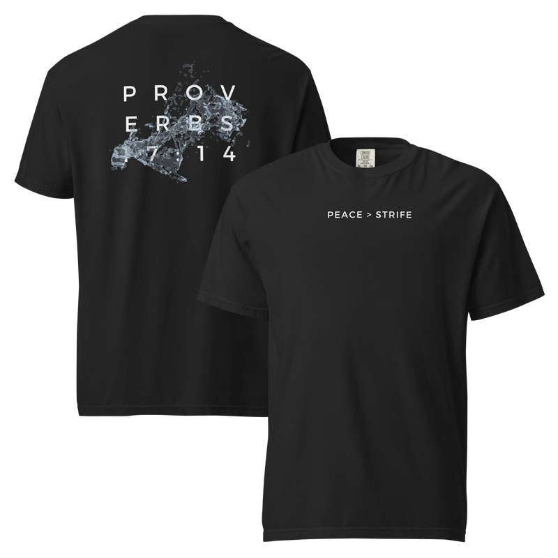 Proverbs 17:14 - T-Shirt