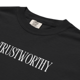 Proverbs 11:12-13 - T-Shirt