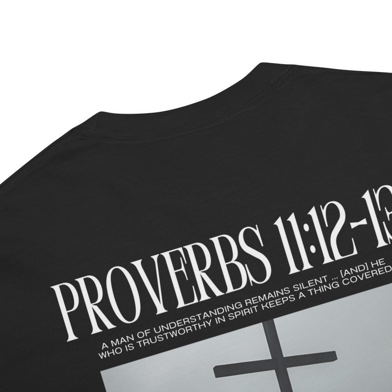 Proverbs 11:12-13 - T-Shirt