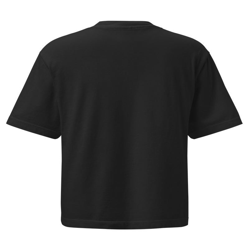 Romans 8:16-17 - Women's Cropped T-Shirt (Black, Gray, Pink)