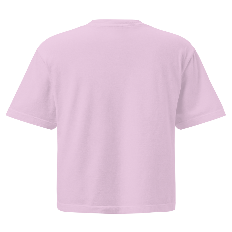 Romans 8:16-17 - Women's Cropped T-Shirt (Black, Gray, Pink)