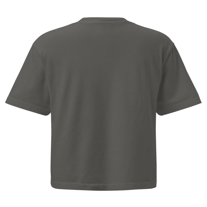 Romans 8:16-17 - Women's Cropped T-Shirt (Black, Gray, Pink)